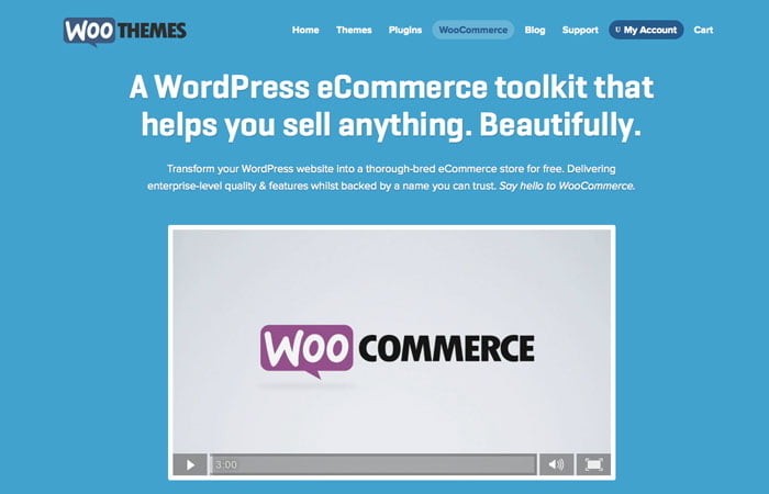 woo commerce plugin